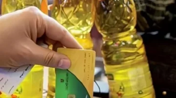 بوابة مصر الرقمية.. شروط جديدة تضمن قبول طلب إضافة المواليد إلكترونياً لعام 2026